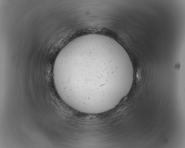 X0000115080867200911171151