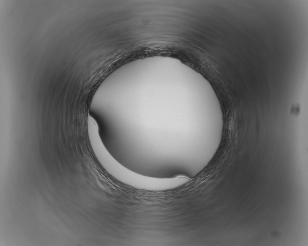 X0000115080868200911171151