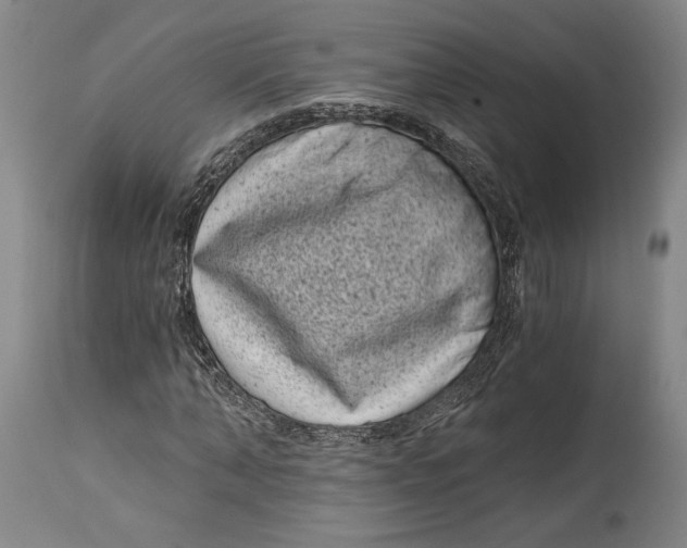 X0000115080870200911171151
