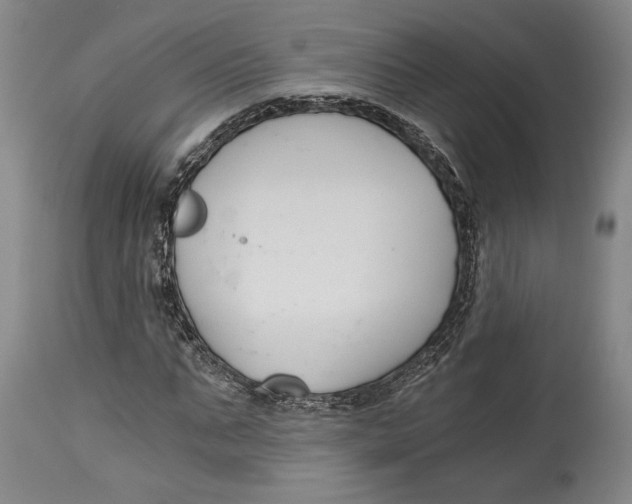 X0000115080871200911171151