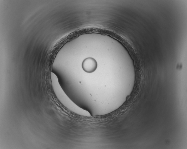 X0000115080872200911171151