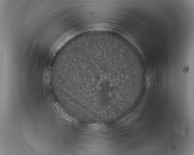 X0000115080874200911171151