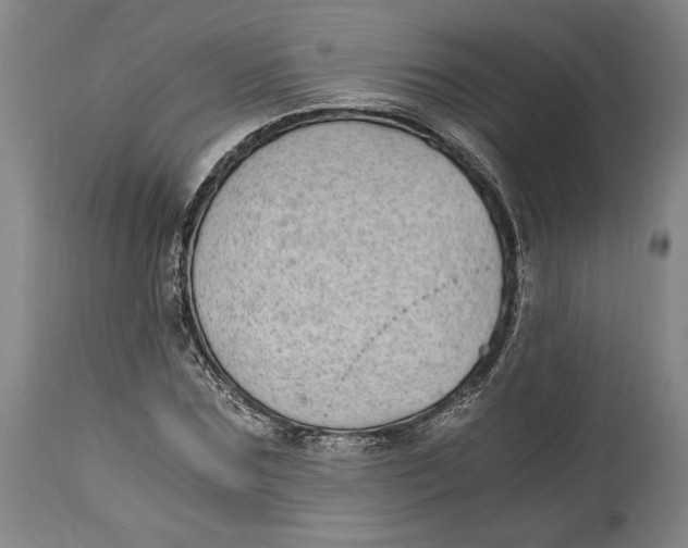 X0000115080875200911171151