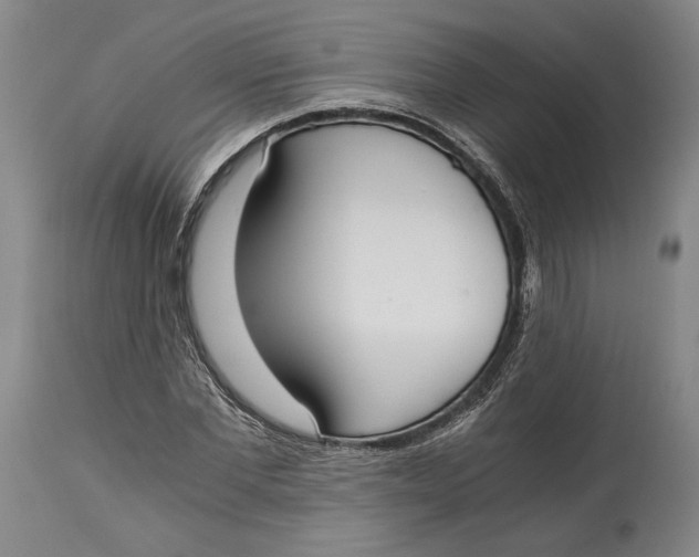 X0000115080877200911171151