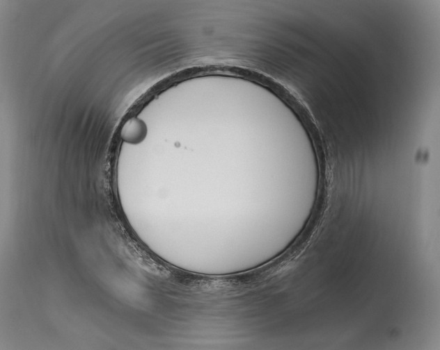 X0000115080879200911171151
