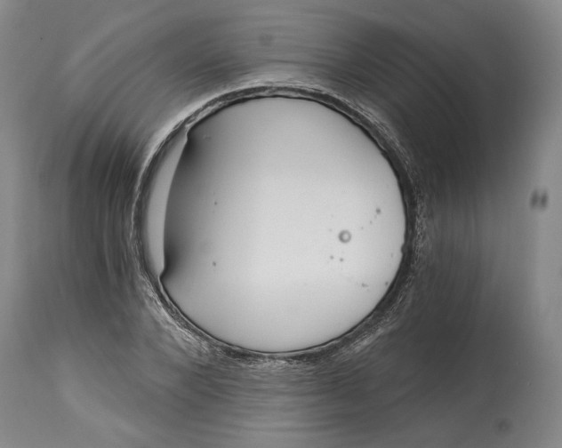 X0000115080880200911171151