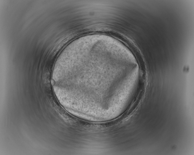 X0000115080881200911171151
