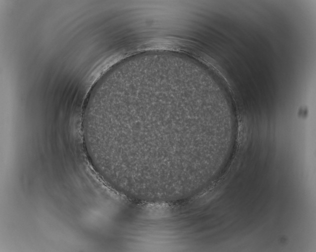 X0000115080882200911171151