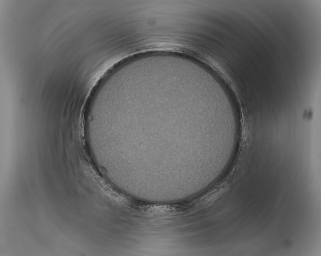 X0000115080883200911171151