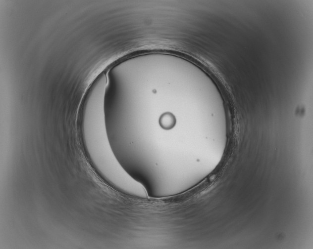 X0000115080885200911171151
