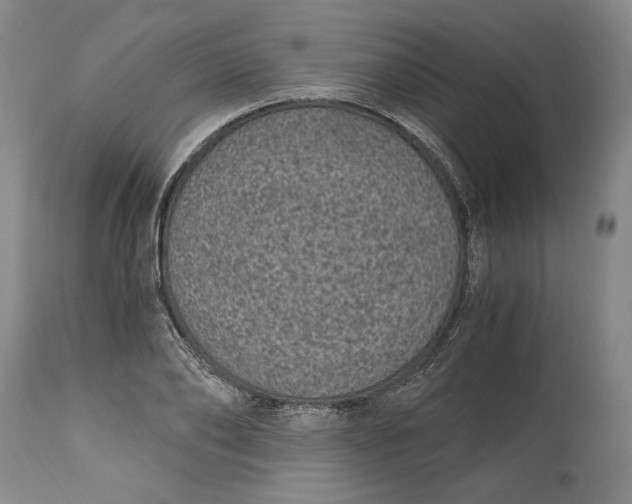 X0000115080886200911171151