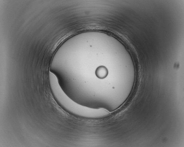 X0000115080889200911171151