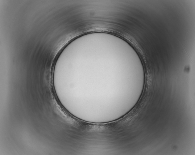 X0000115080890200911171151