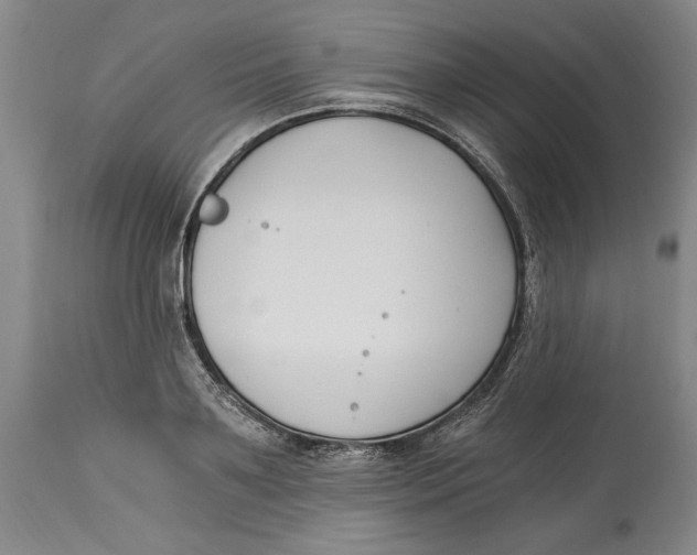 X0000115080891200911171151