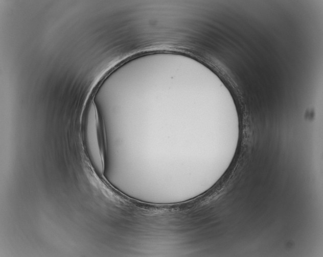 X0000115080892200911171151