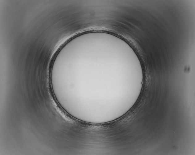 X0000115080894200911171151
