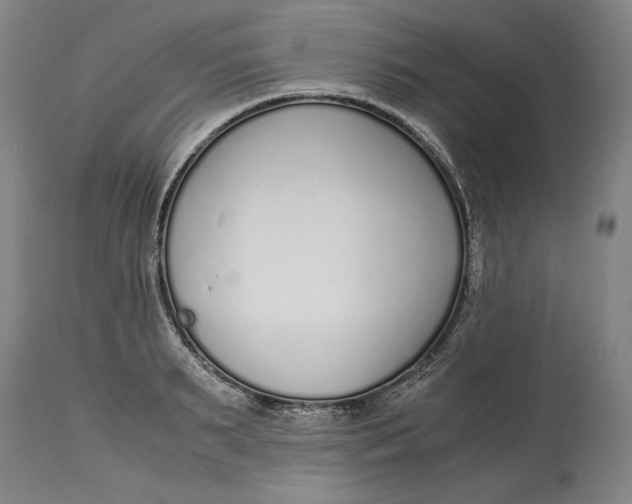 X0000115080895200911171151