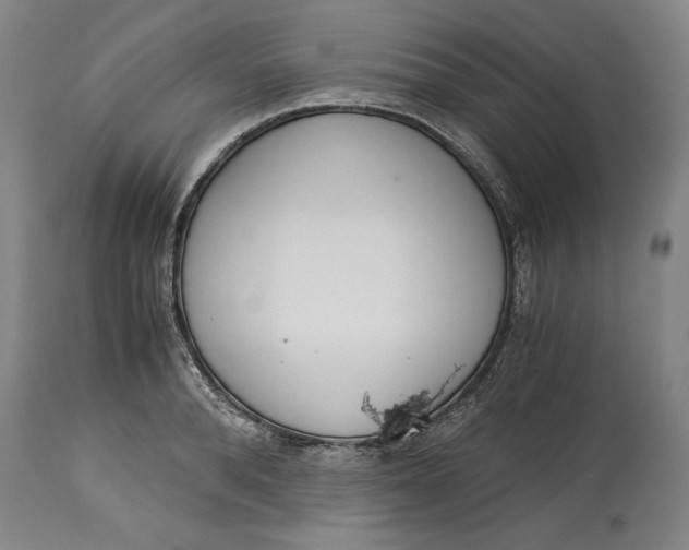 X0000115080896200911171151
