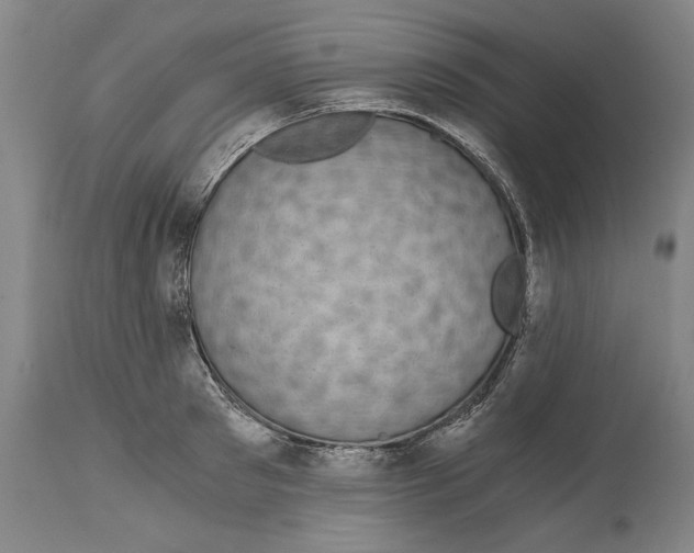 X0000115080897200911171151