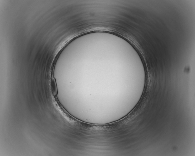 X0000115080898200911171151