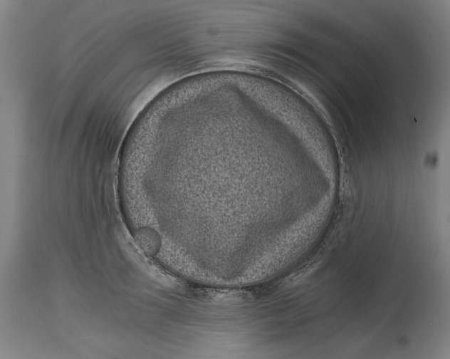 X0000115080899200911171151