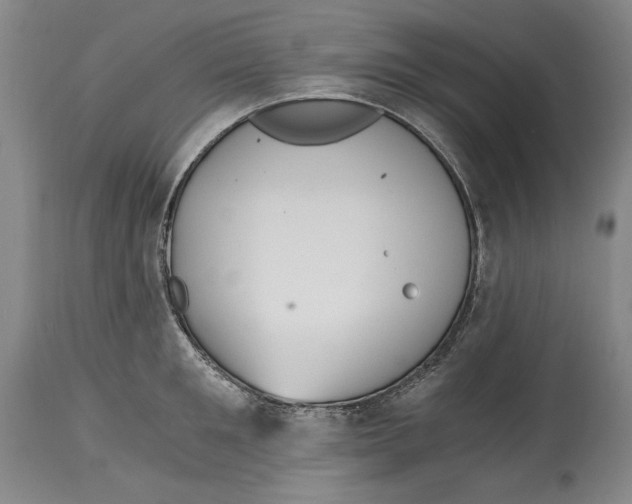 X0000115080901200911171151