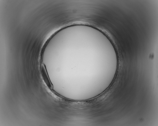 X0000115080902200911171151
