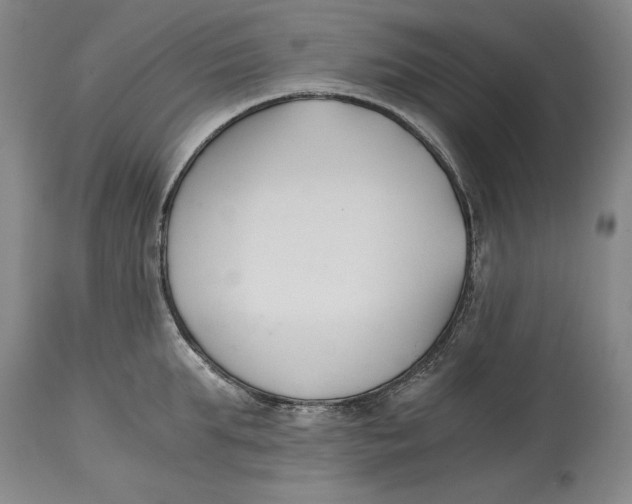 X0000115080903200911171151
