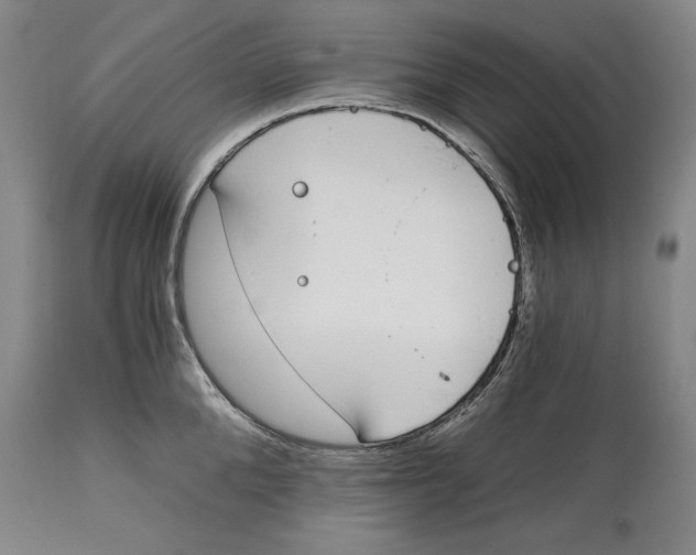 X0000115080904200911171151