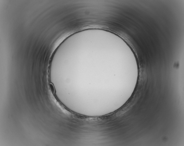 X0000115080906200911171151