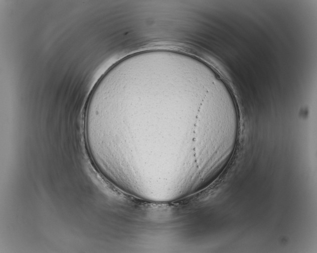 X0000115080907200911171151