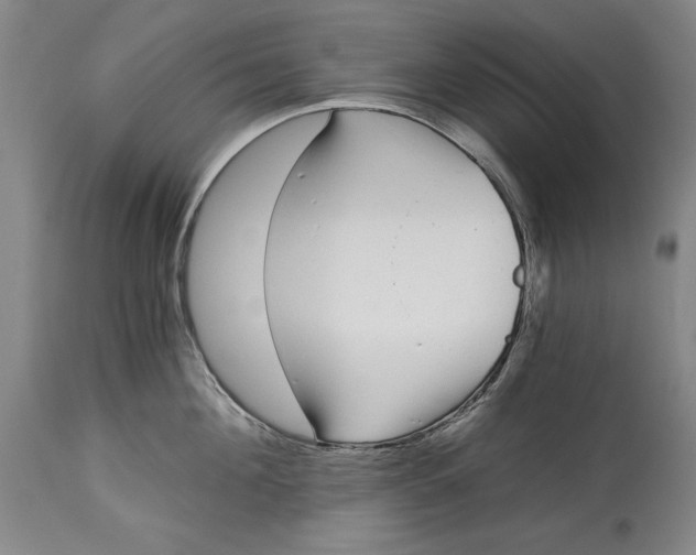 X0000115080908200911171151
