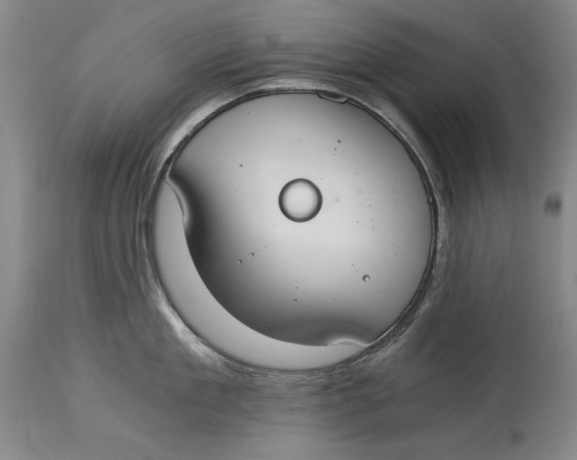 X0000115080909200911171151