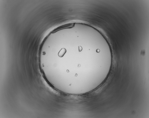 X0000115080910200911171151