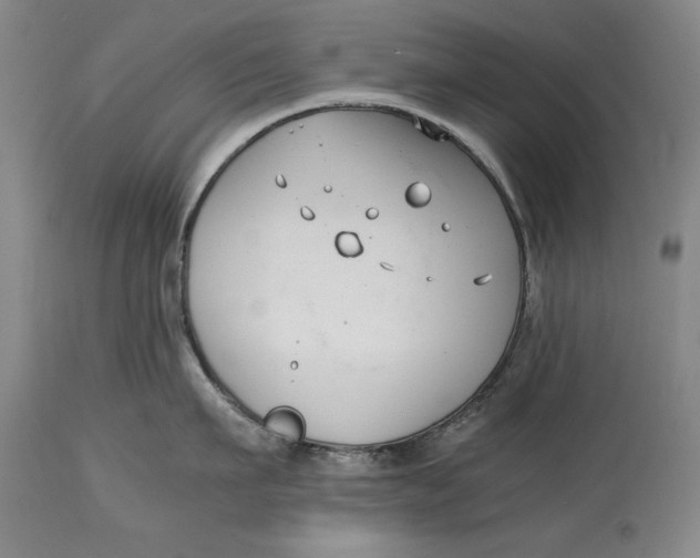 X0000115080911200911171151