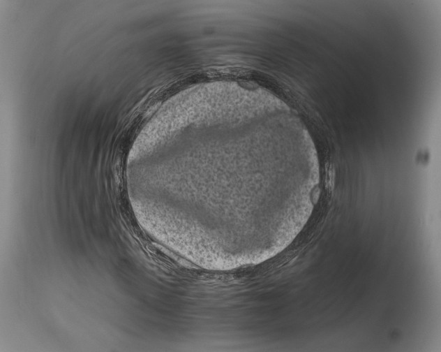 X0000115080915200911171150