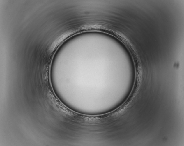 X0000115080921200911171150