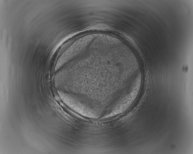 X0000115080923200911171150