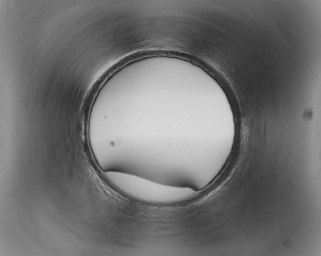 X0000115080925200911171150