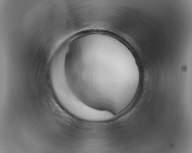 X0000115080926200911171150