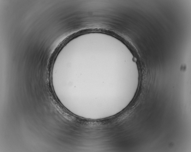 X0000115080927200911171150