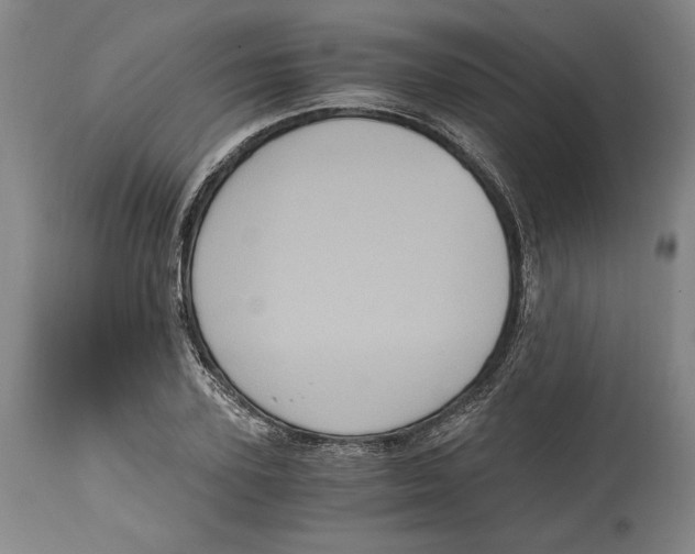 X0000115080931200911171150