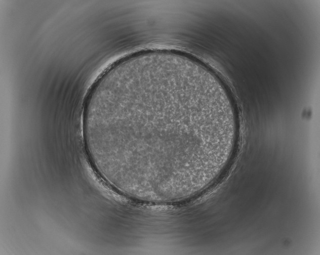 X0000115080934200911171150