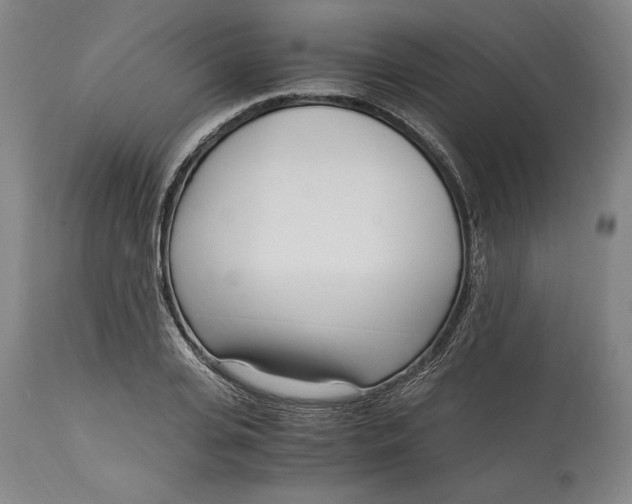 X0000115080935200911171150