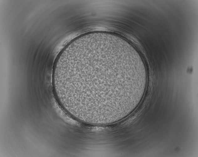 X0000115080938200911171150