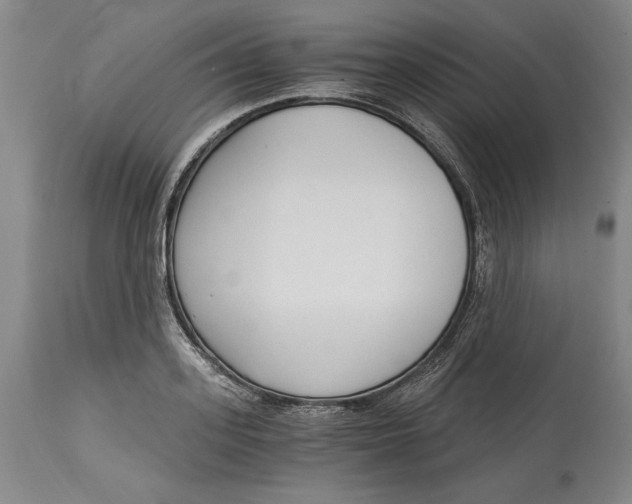 X0000115080939200911171150