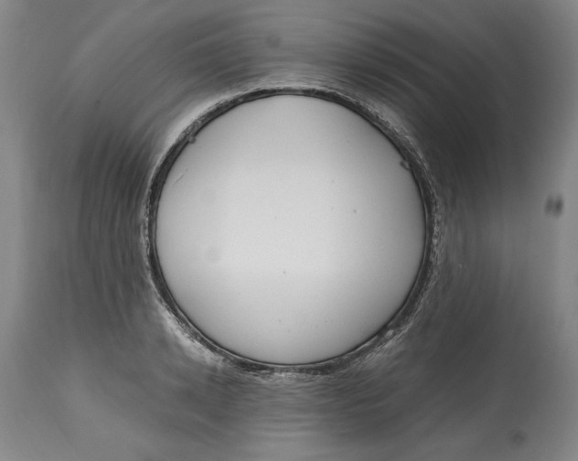 X0000115080942200911171150