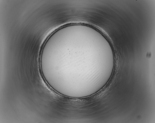 X0000115080943200911171150