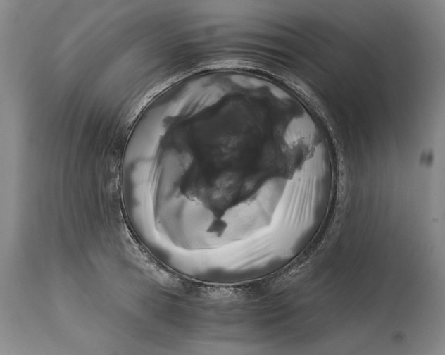 X0000115080945200911171150