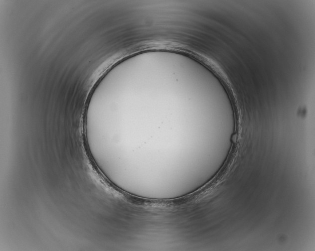 X0000115080946200911171150